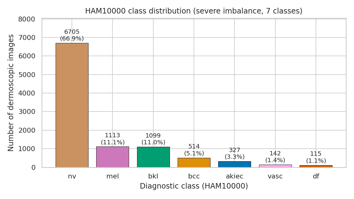Class distribution of the training data.